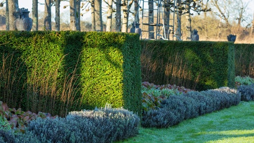 Hedge-lined border with stone urns and avenue of trees behind, Mottisfont, Hampshire